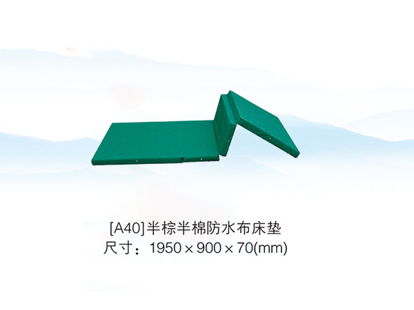 [A40]半棕半棉防水布床